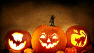 Lire la suite à propos de l’article planning des vacances d’automne 2019